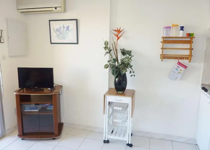 Climatise Avec Piscine, Terrasse Et Parking Prive - Proche Commodites - Fr-1-387-137 Apartament *