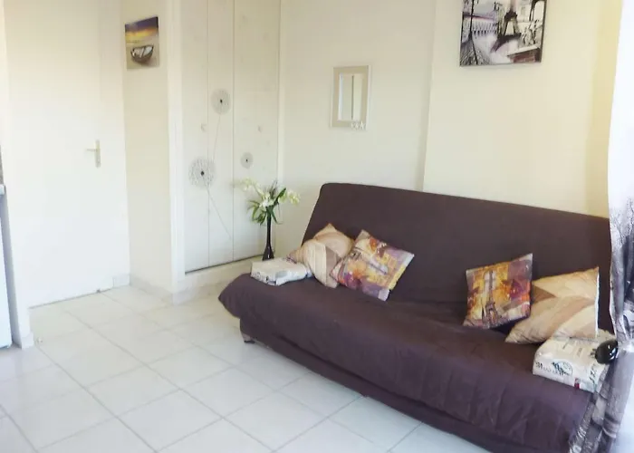 Climatise Avec Piscine, Terrasse Et Parking Prive - Proche Commodites - Fr-1-387-137 *
